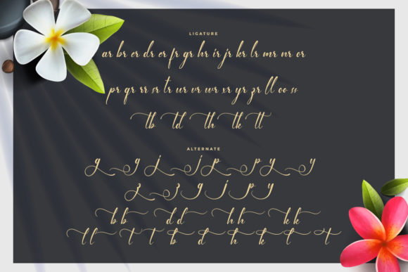Special Night Font Poster 6