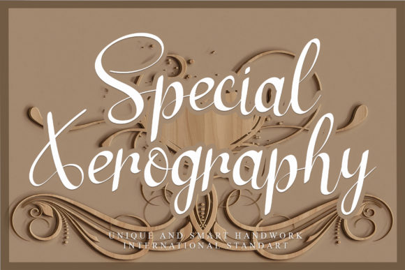 Special Xerography Font