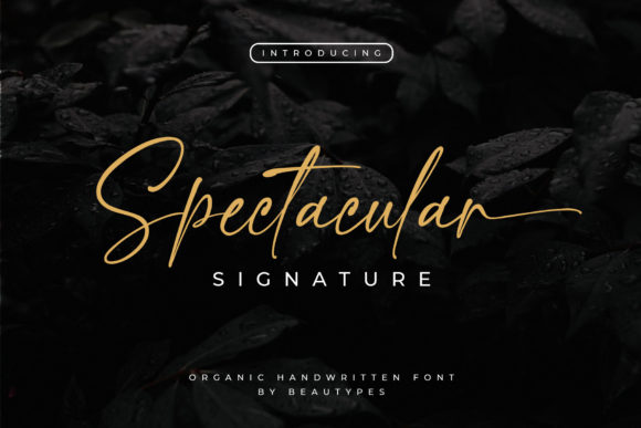 Spectacular Signature Font Poster 1