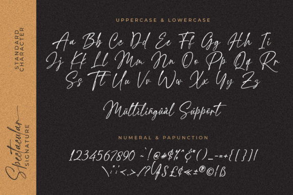 Spectacular Signature Font Poster 7