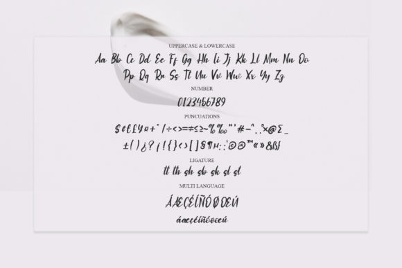 Squashy Font Poster 6