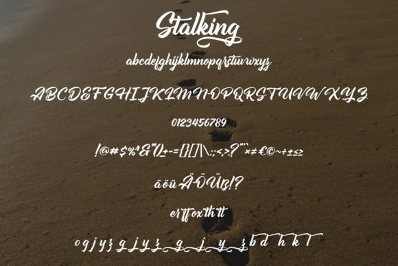 Stalking Font Poster 5