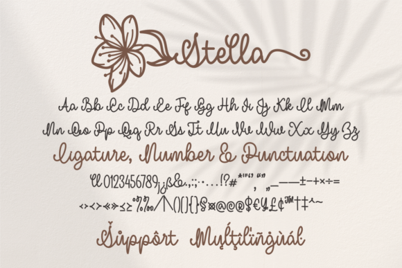 Stella Birth Flower Font Poster 5