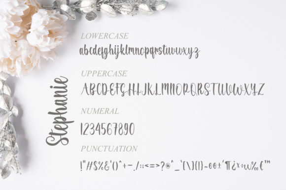 Stephanie Font Poster 7
