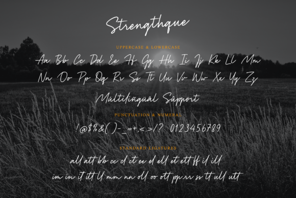 Strenghtque Font Poster 9