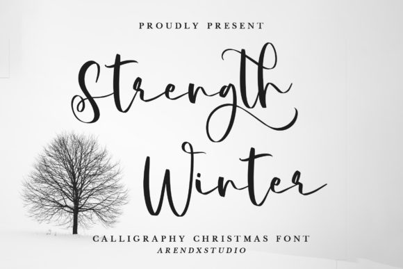 Strength Winter Font Poster 1
