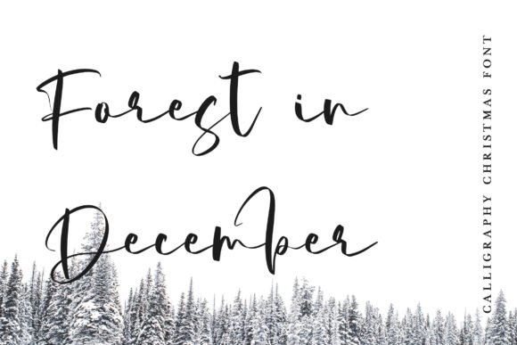 Strength Winter Font Poster 2