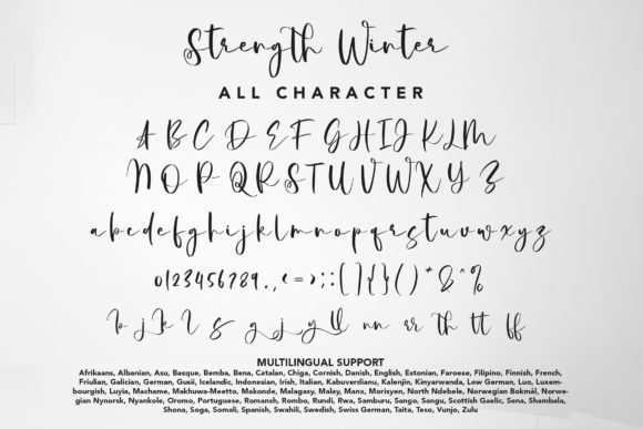 Strength Winter Font Poster 9