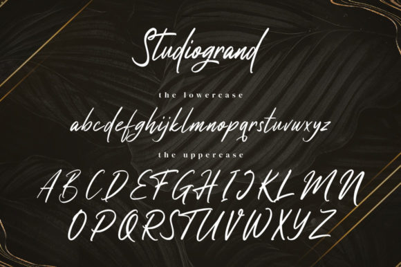Studiogrand Font Poster 12
