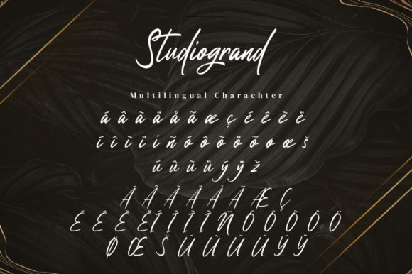Studiogrand Font Poster 14
