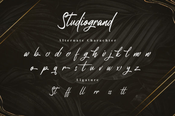 Studiogrand Font Poster 15