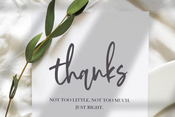 Stylist Garden Font Poster 7