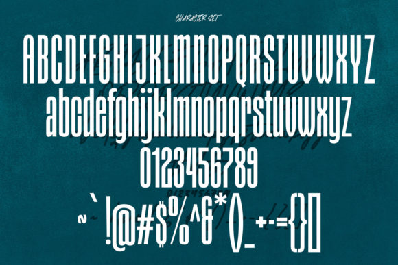 Styxes Font Poster 8