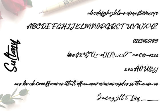 Sultony | Marker Handwriting Font Font Poster 5