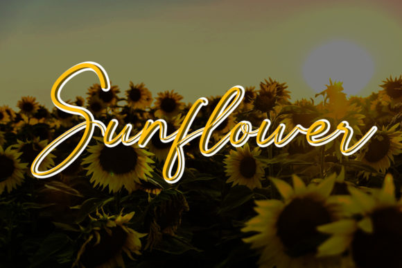Summer Queen Font Poster 7