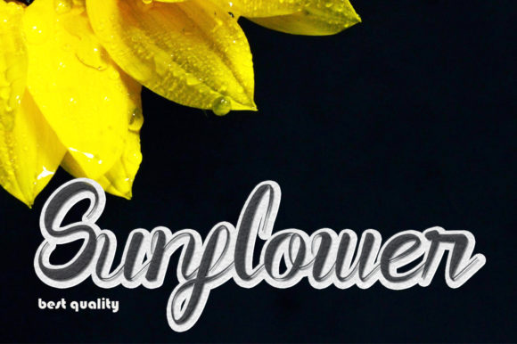 Sunflower Font Poster 7