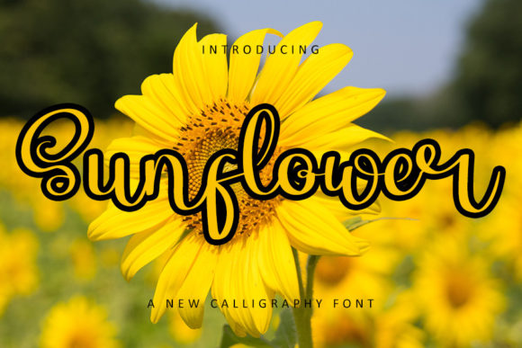 Sunflower Font