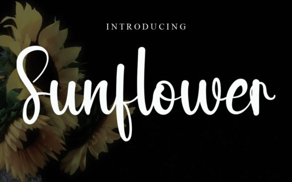 Sunflower Font