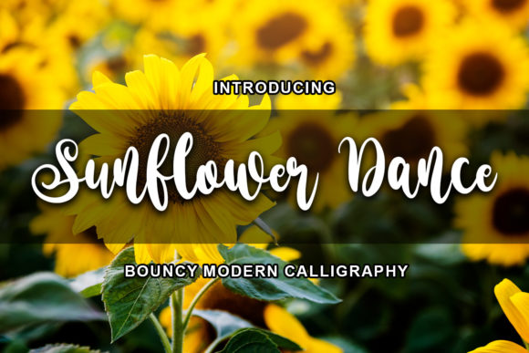 Sunflower Dance Font Poster 1