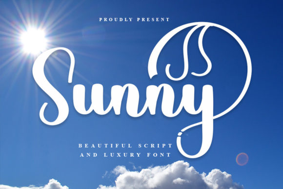 Sunny Font Poster 1