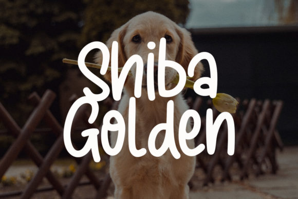 Sunny Goldie Font Poster 3