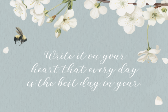 Sunset Beauty Font Poster 13