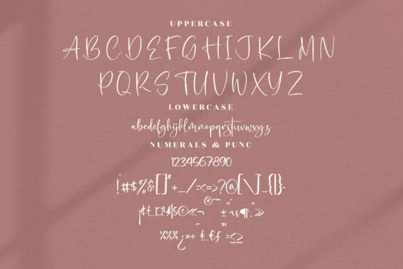 Sweet Butterfly Font Poster 13