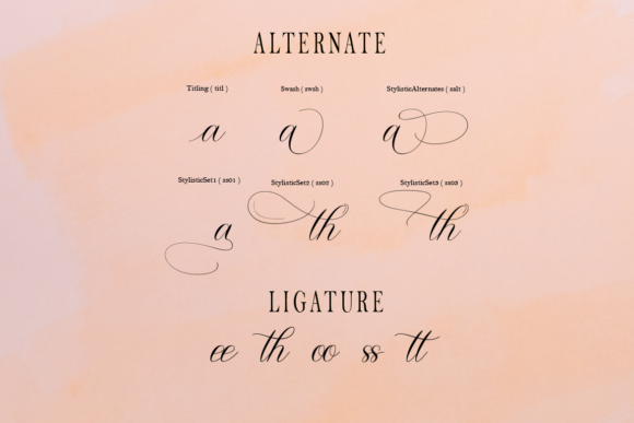 Sweet Flourishing Font Poster 10