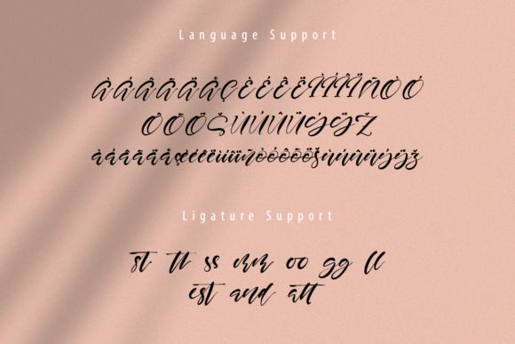 Sweet Rusty Font Poster 9