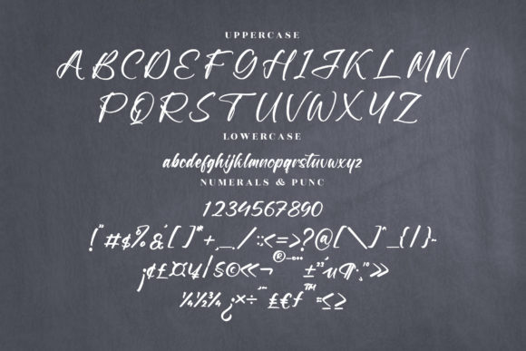 Taillor Amillate Font Poster 13