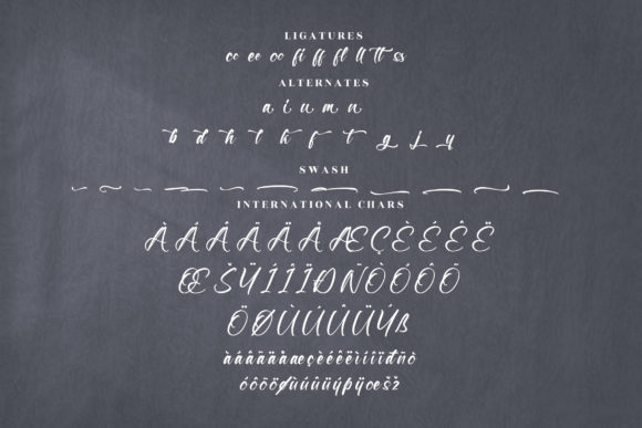 Taillor Amillate Font Poster 14