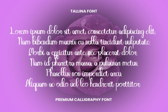 Tallina Font Poster 3
