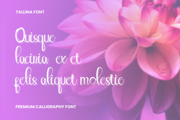 Tallina Font Poster 4