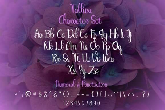 Tallina Font Poster 8