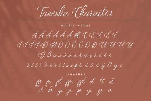 Tanesha Font Poster 9