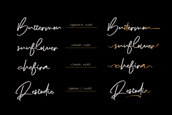The Diary Font Poster 4