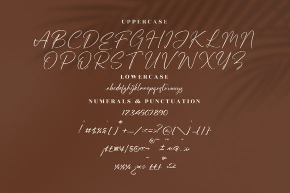 The Everything Font Poster 13