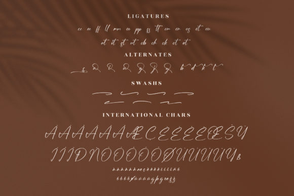 The Everything Font Poster 14
