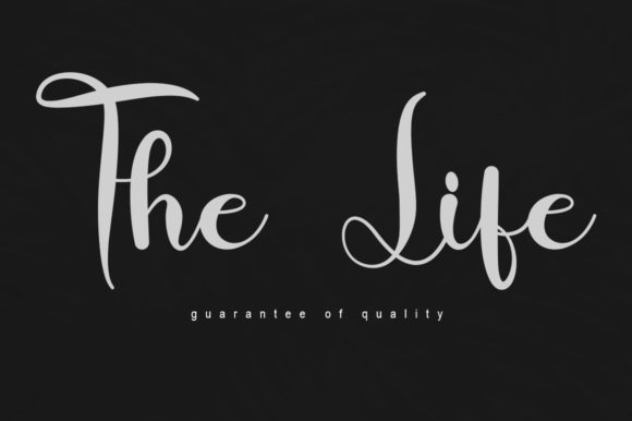 The Life Font Poster 1