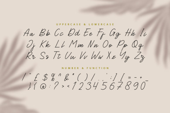 The Mind Rain Font Poster 8