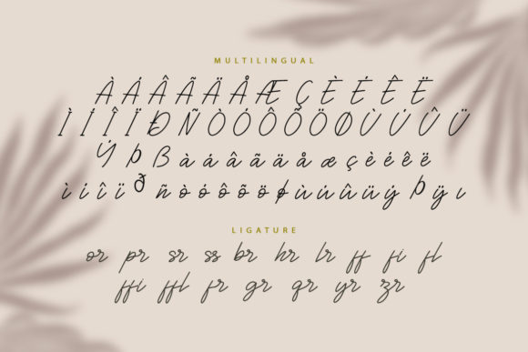 The Mind Rain Font Poster 9