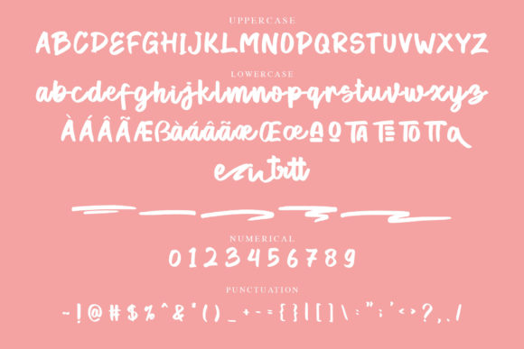 The Patteroni Script Font Poster 5