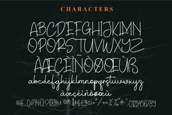 The Signature Font Poster 5