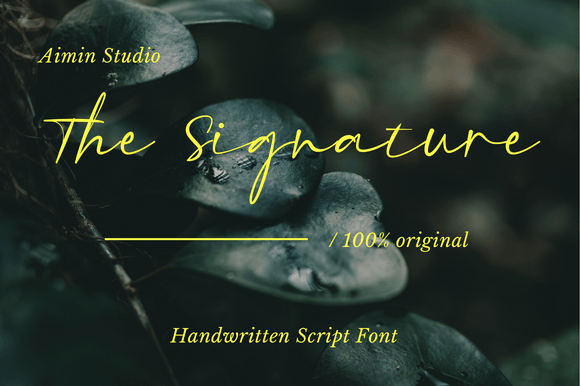The Signature Font Poster 1