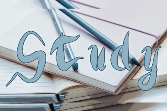 Thick Journal Font Poster 2