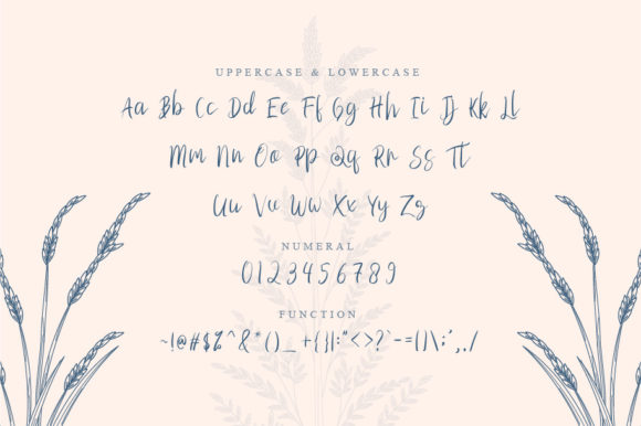 Tibson Script Font Poster 3