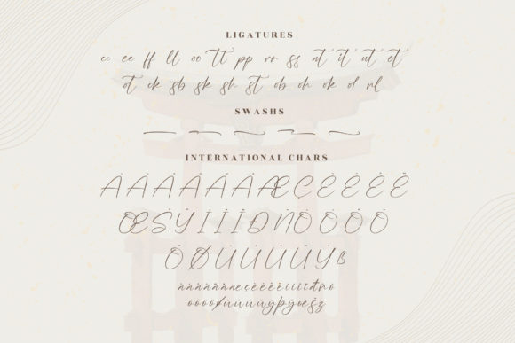 Tokushima Arigatou Font Poster 14