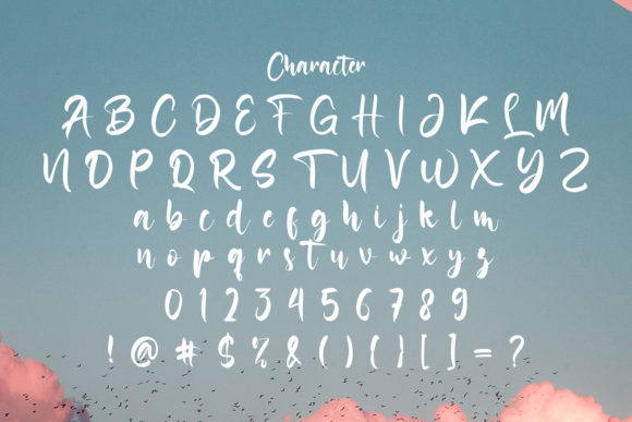 Toniya Smith Font Poster 14