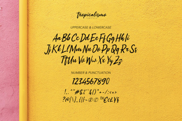 Tropicalismo Font Poster 4