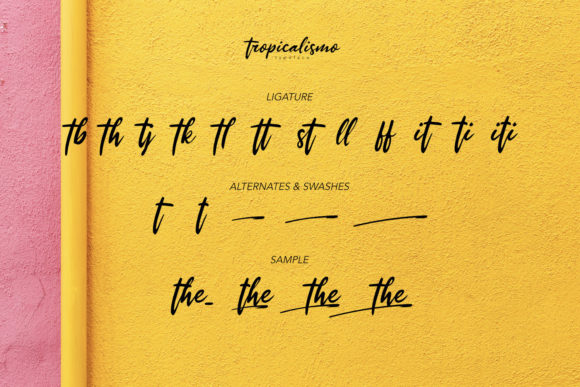 Tropicalismo Font Poster 5